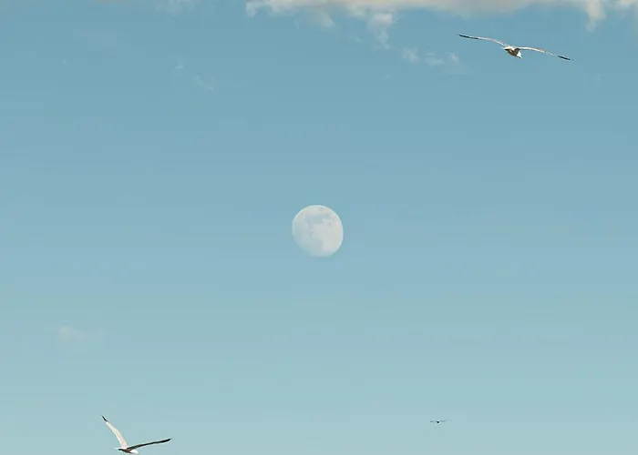 Appartement Delfini Girni Paralía